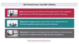 NCI Cervical Cancer Last Mile Initiative
